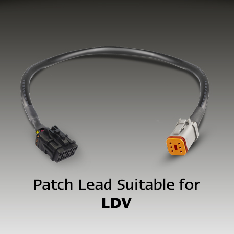PATCH-LDV.jpg