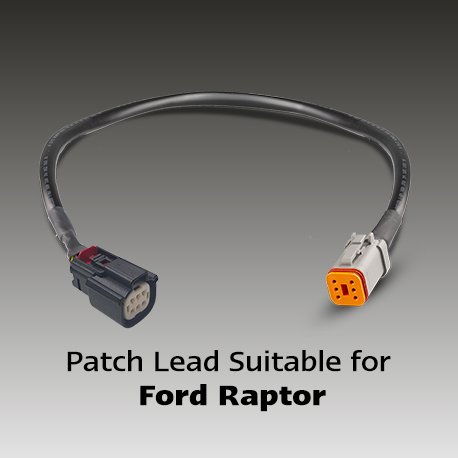PATCH-RAPTOR_Web.jpg