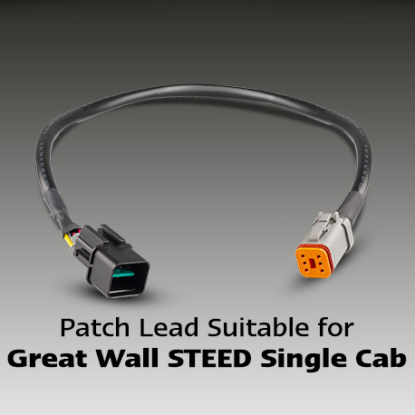 PATCH-STEEDSC.jpg